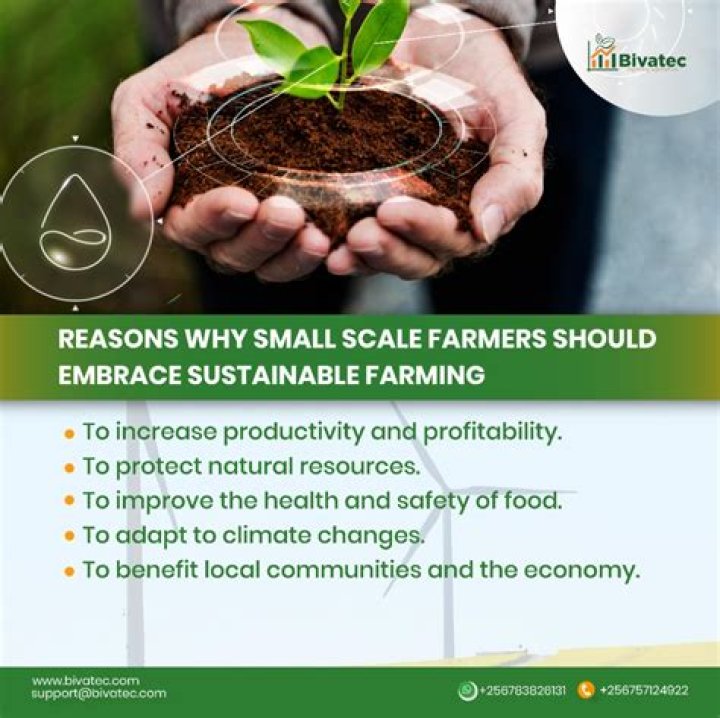 How can farming improve the economy?
