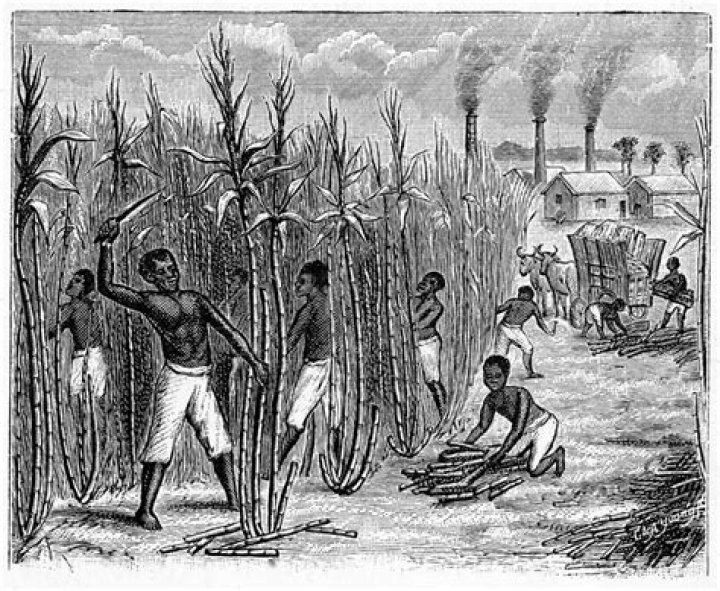 How did slavery affect the plantation economy?