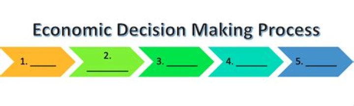 In what economy do the individuals and the government share in the economic decision making process?