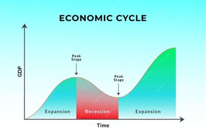 What are cyclical fluctuations in economics?