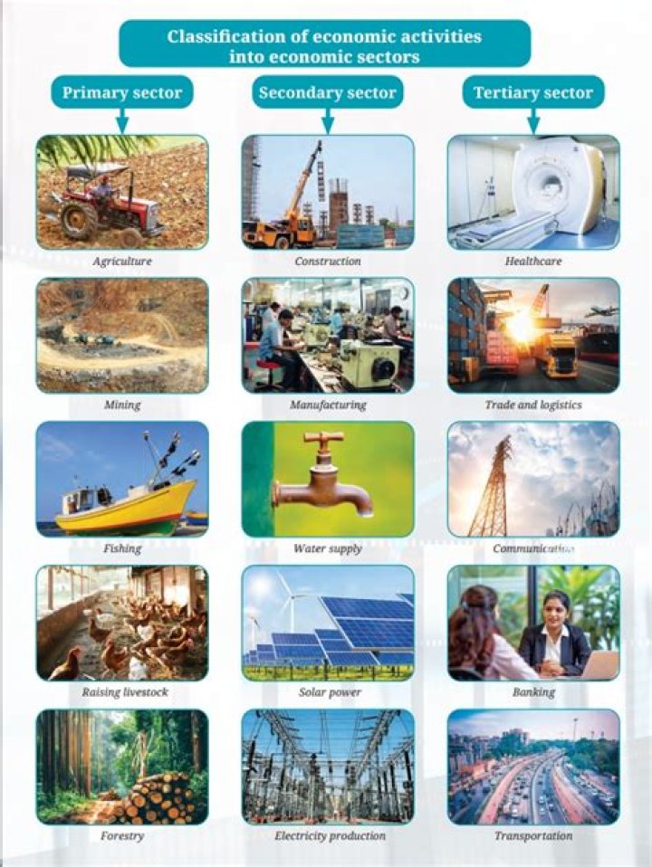 What are the classification of economic resources?