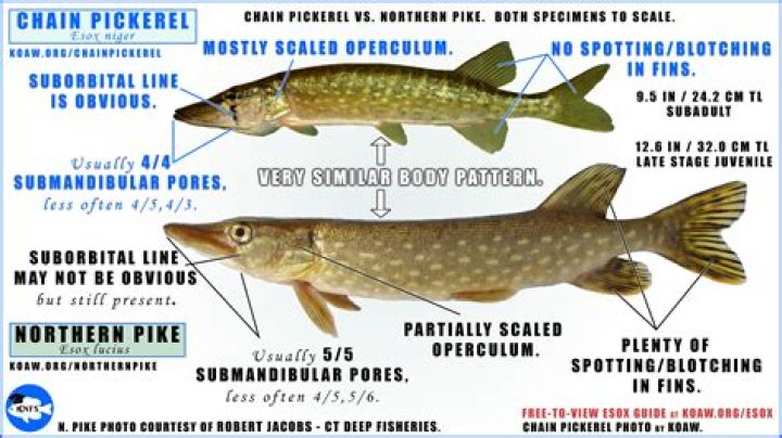 What are the differences between past slavery and modern slavery?