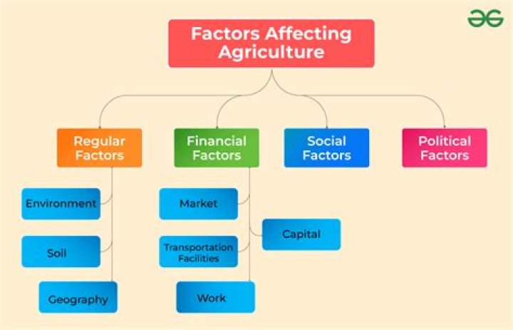 What are the factors affecting financial activities?