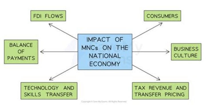 What are the harmful effects of MNCs in Indian economy?