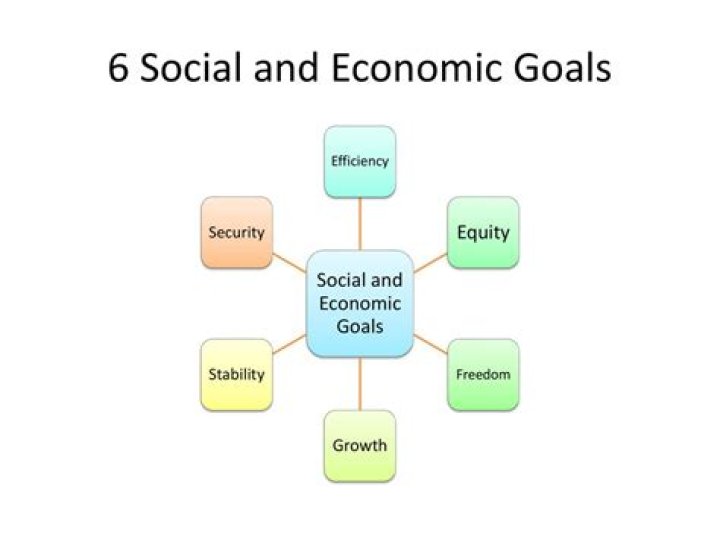 What are the social and economic goals of capitalism?