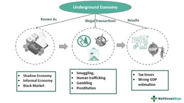 What is the best definition of an underground economy?