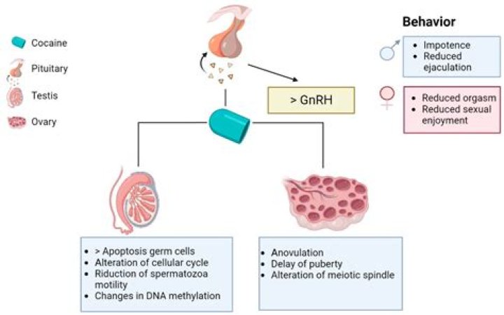What is the effect of deregulation on an economy?