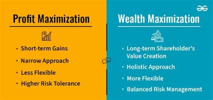 What is the goal of an organization profit maximization or wealth maximization?