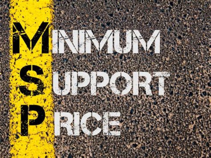 What is the minimum price law?