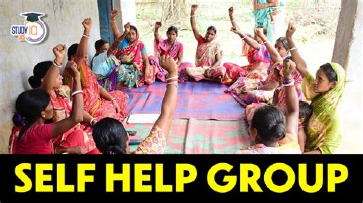 Who introduced self-help groups?