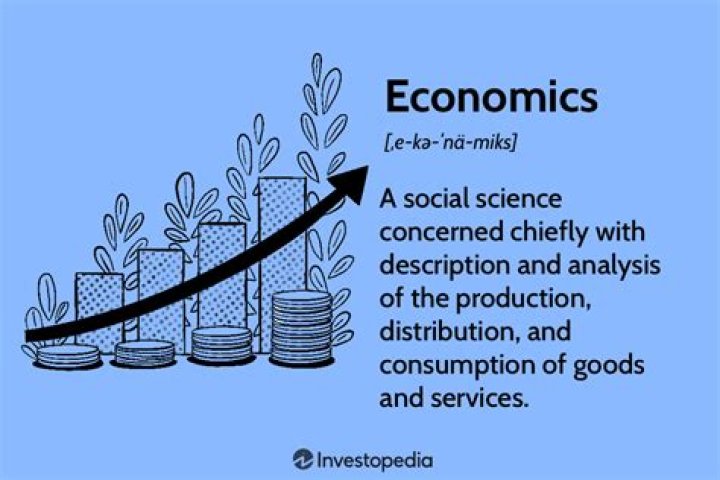 Why is economics considered a social science and not a hard science?