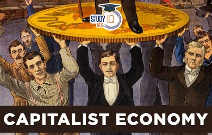 Why is it important for the government to play a role in a capitalist economy?